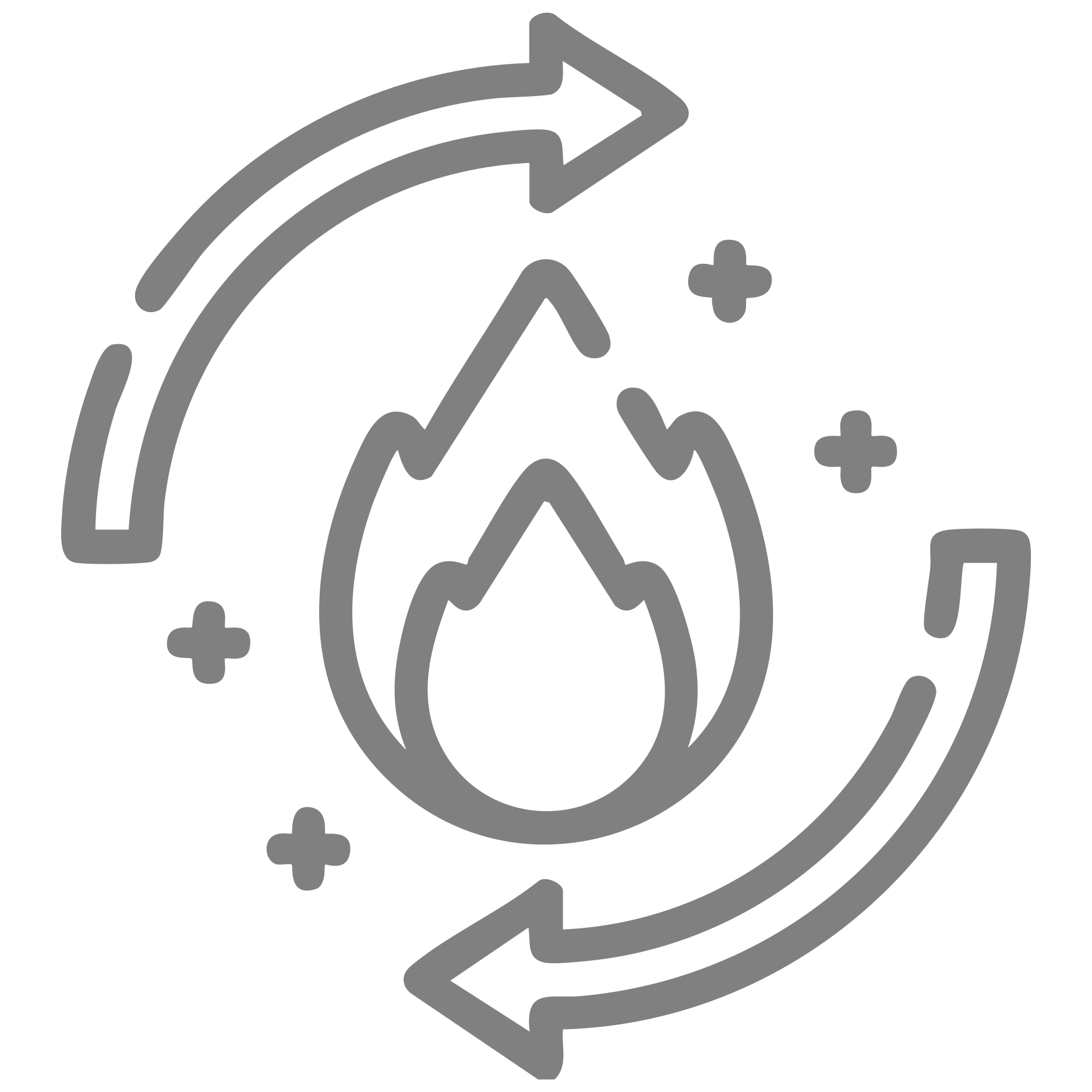 Supports Metabolic Activity